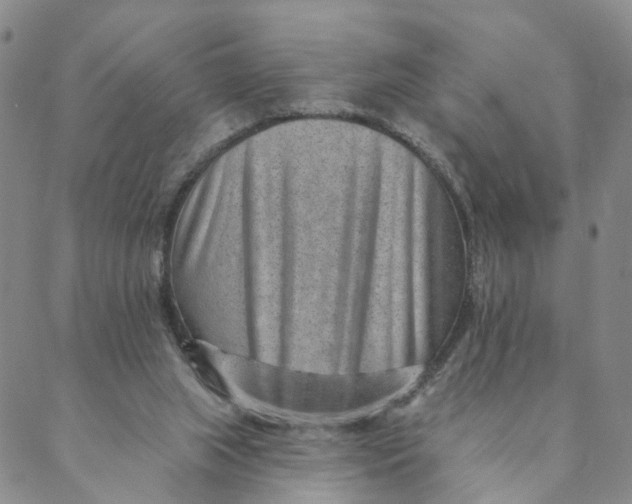 X0000088450063200706121449