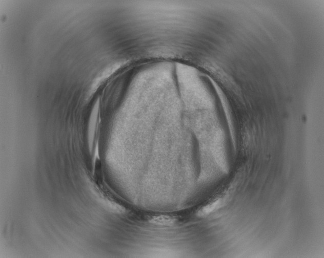 X0000088450064200706121450