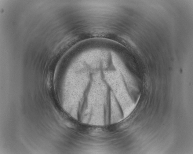 X0000088450074200706121450