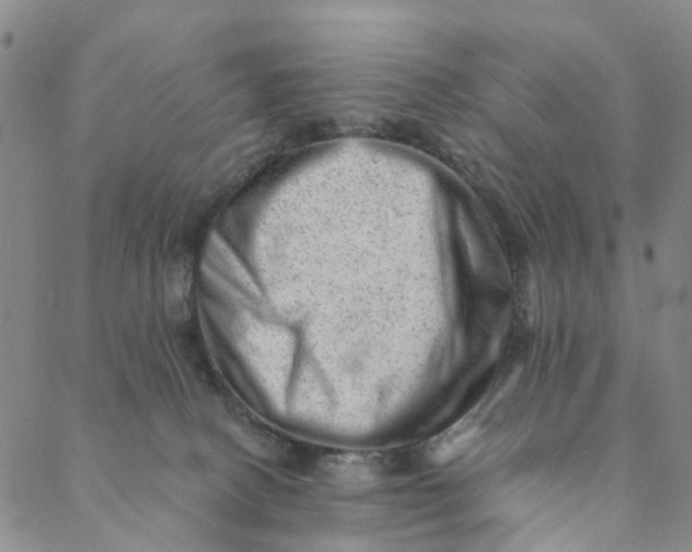 X0000088450082200706121450
