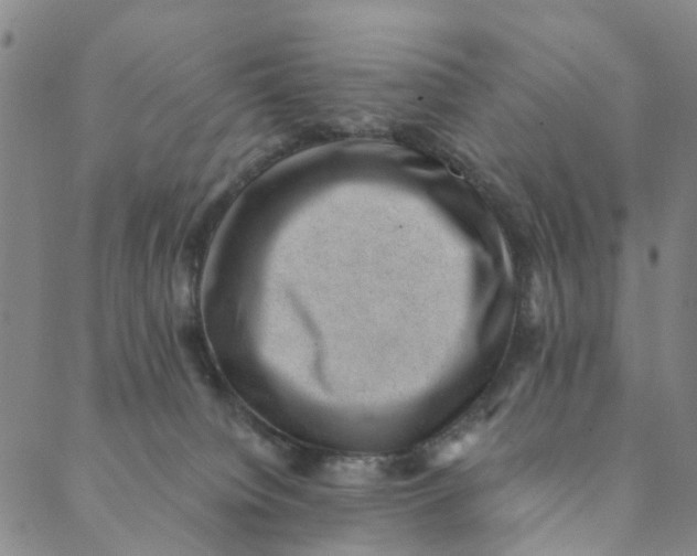X0000088450084200706121450