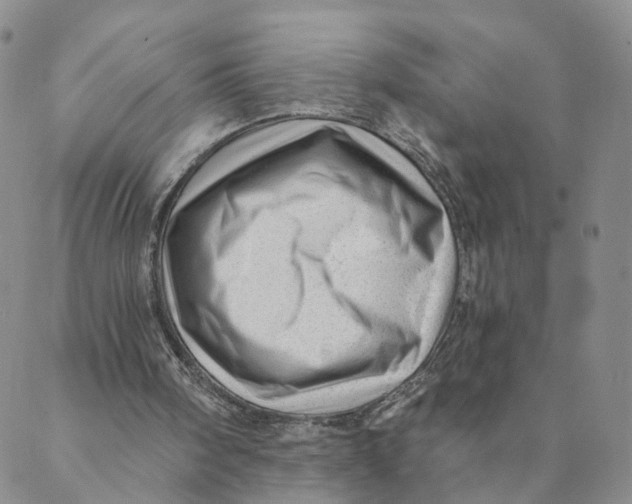 X0000088450098200706121449