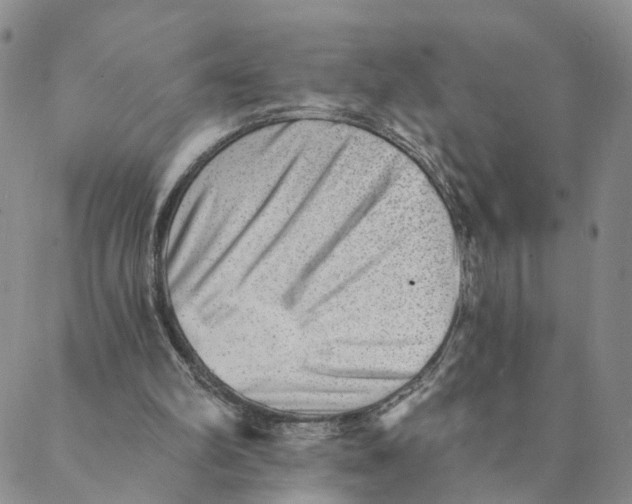 X0000088450102200706121449