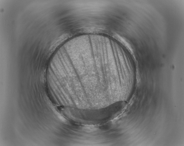 X0000088450105200706121449