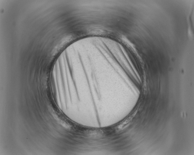 X0000088450106200706121449