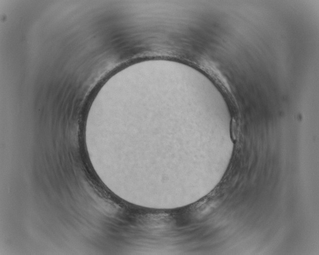 X0000088450108200706121449