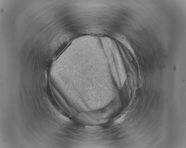 X0000088450109200706121449