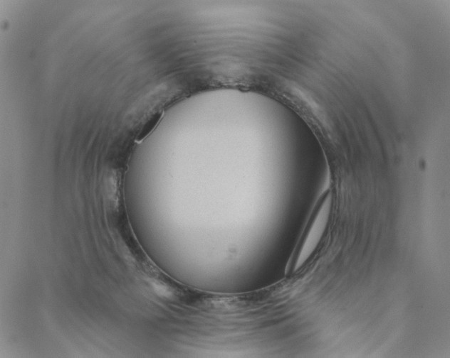 X0000088450121200706121449