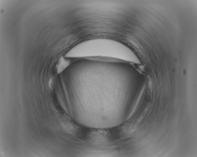 X0000088450125200706121449