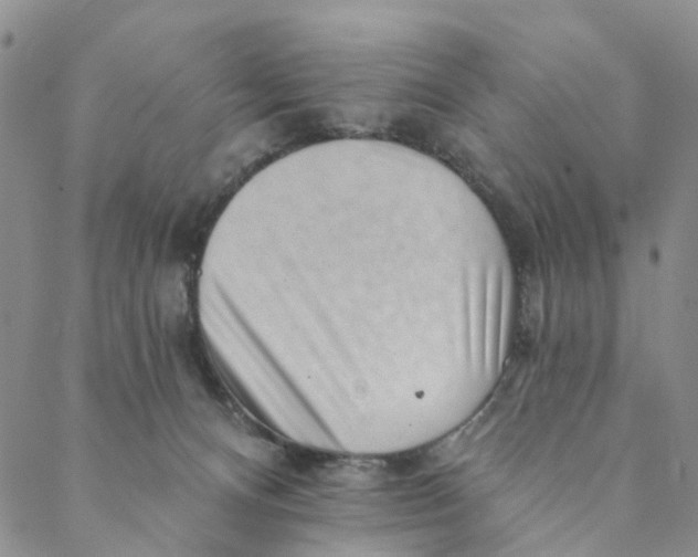 X0000088450128200706121449