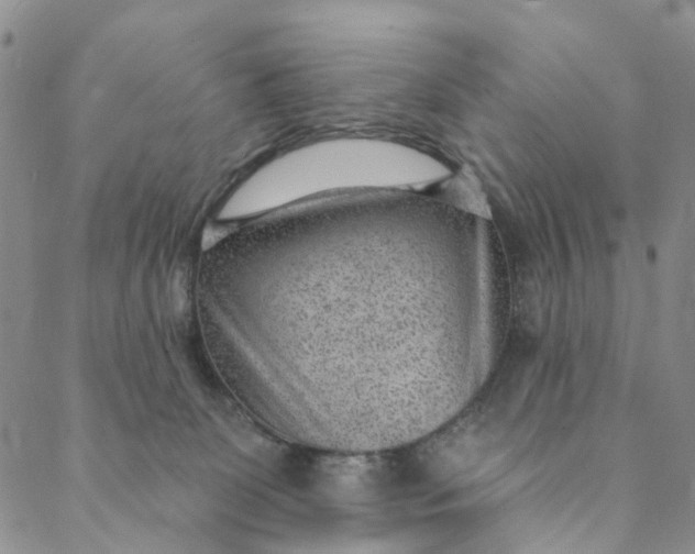 X0000088450131200706121449