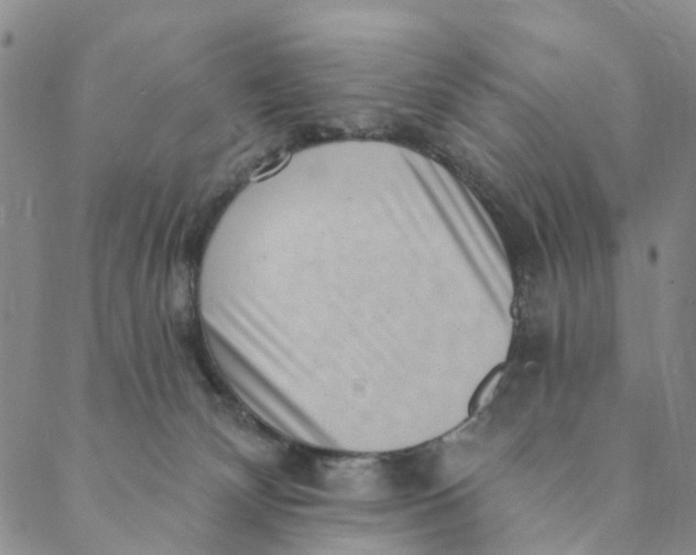 X0000088450132200706121449
