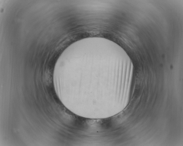 X0000088450136200706121449