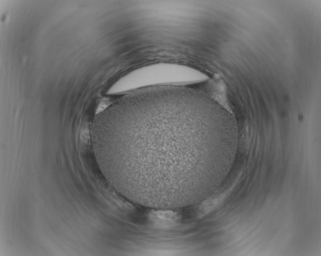 X0000088450137200706121449