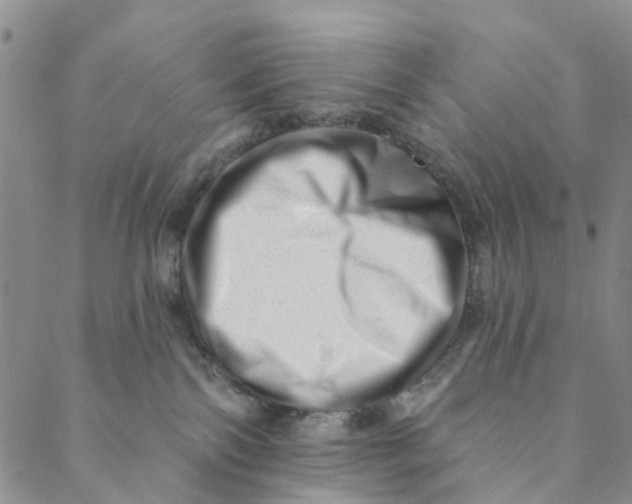 X0000088450138200706121449