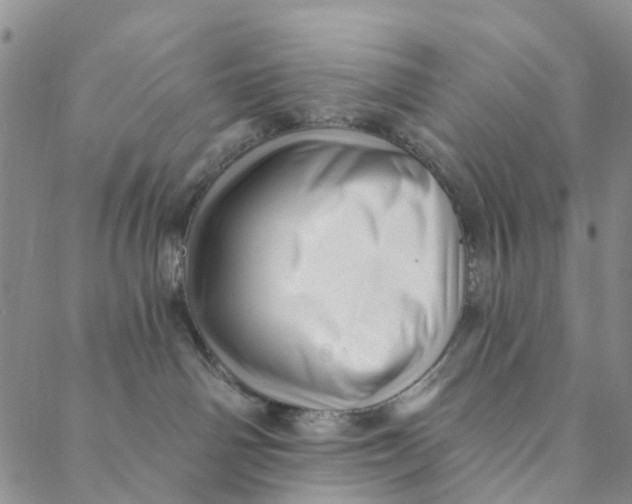 X0000088450142200706121449