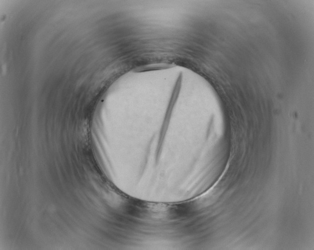 X0000088450144200706121448