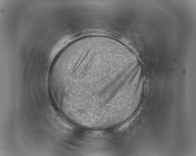 X0000088450151200706121448