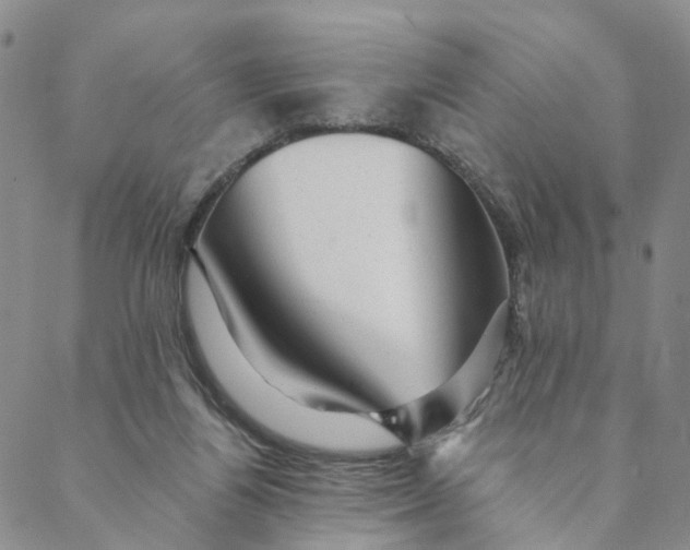 X0000088450164200706121448