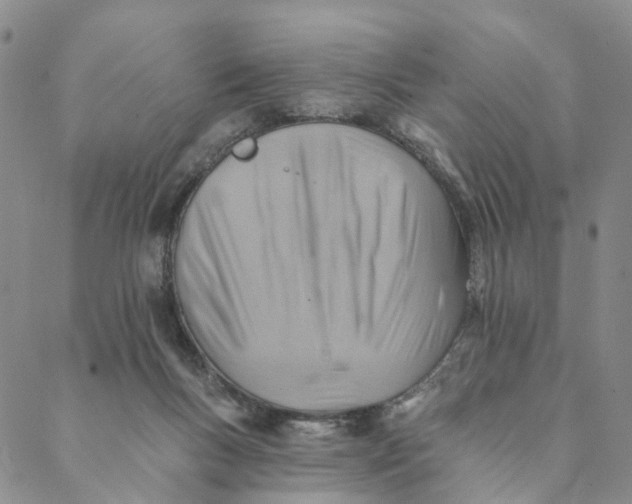 X0000088450167200706121448