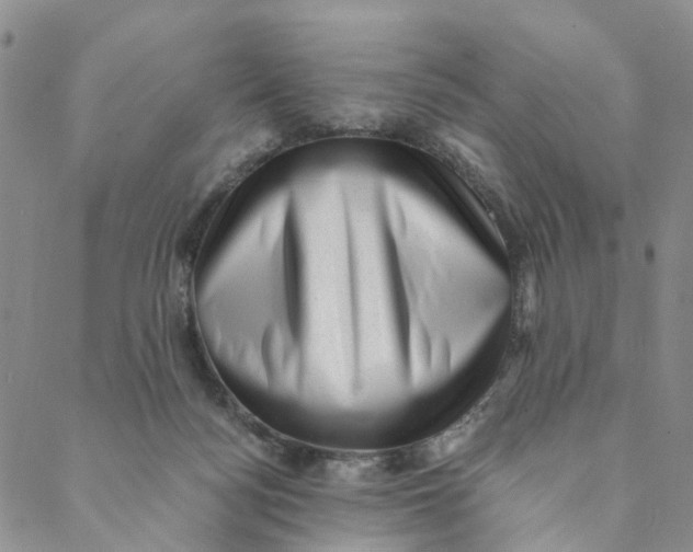 X0000088450172200706121448