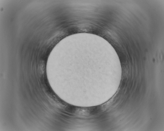 X0000088450174200706121448