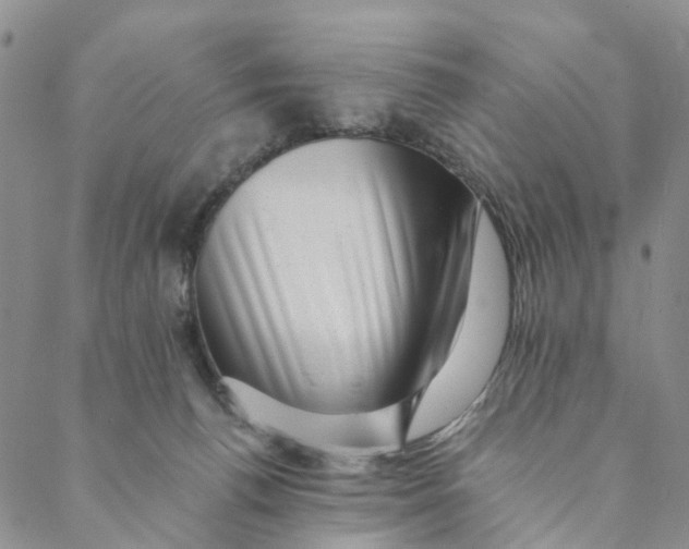 X0000088450176200706121448