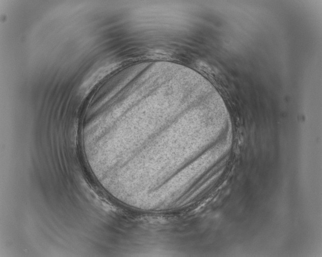 X0000088450194200706121448