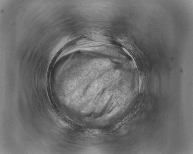 X0000088450195200706121448