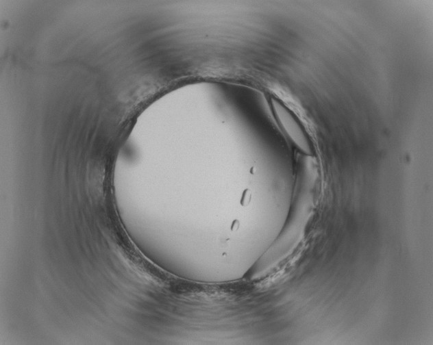 X0000088450201200706121448