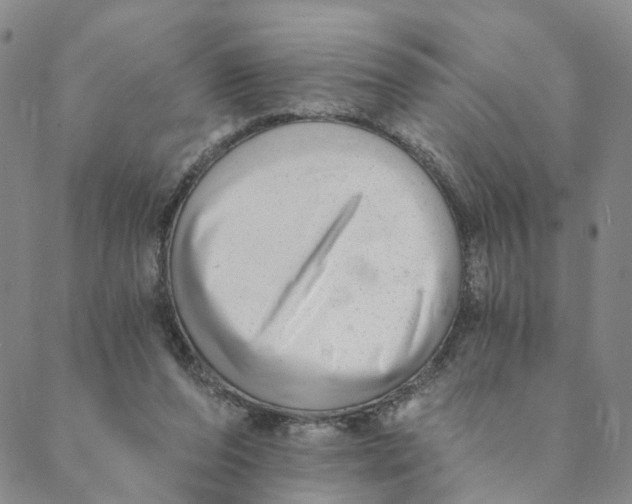 X0000088450208200706121447
