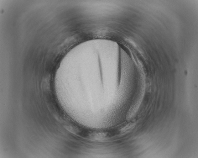 X0000088450217200706121447