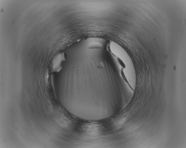 X0000088450219200706121447