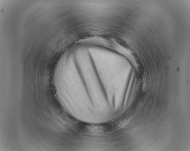X0000088450221200706121447