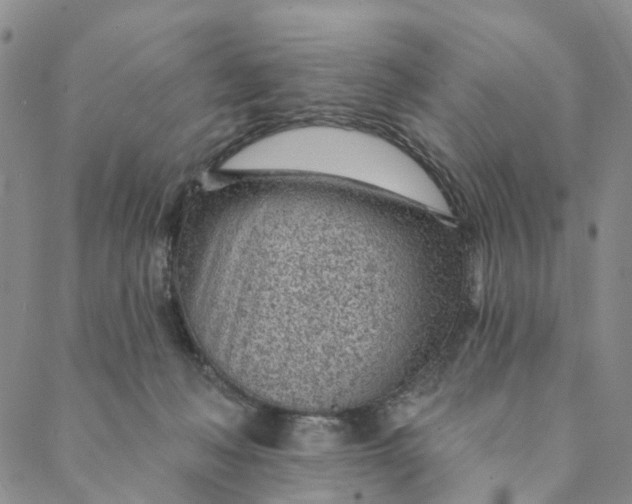X0000088450222200706121447
