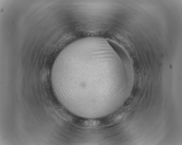X0000088450225200706121447