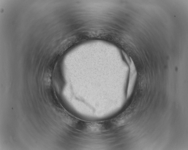 X0000088450226200706121447