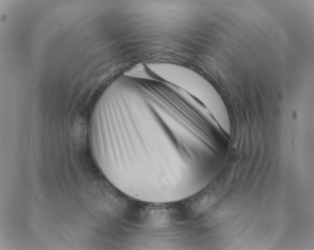 X0000088450228200706121447