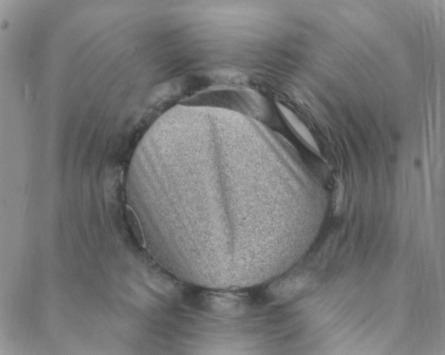 X0000088450229200706121447