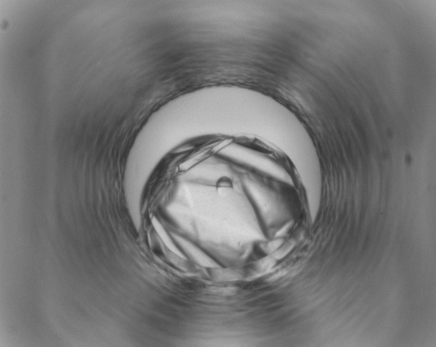 X0000088450237200706121447