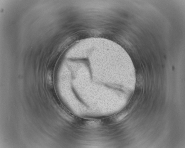 X0000088450238200706121447