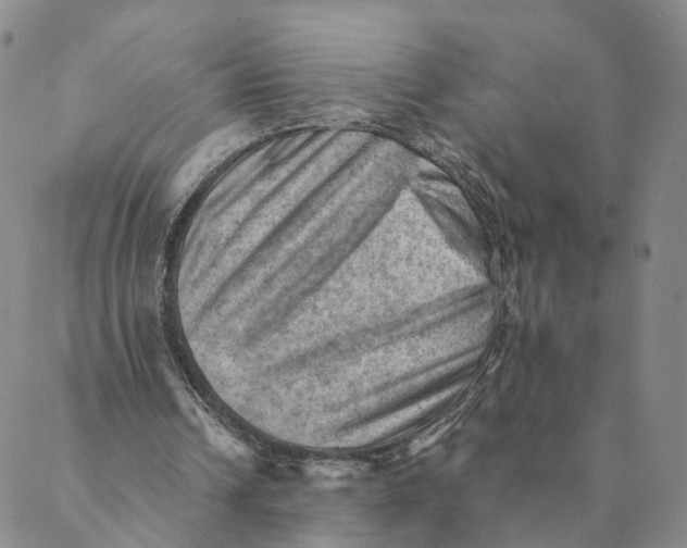 X0000088450242200706121446
