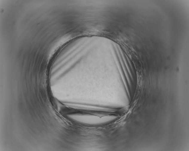 X0000088450244200706121446