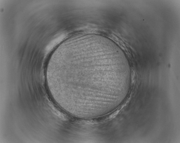 X0000088450245200706121446