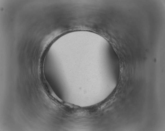X0000088450248200706121446