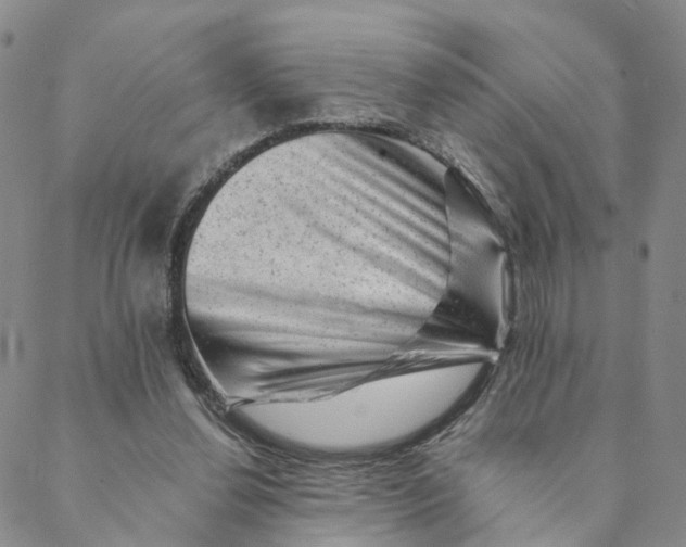 X0000088450252200706121446