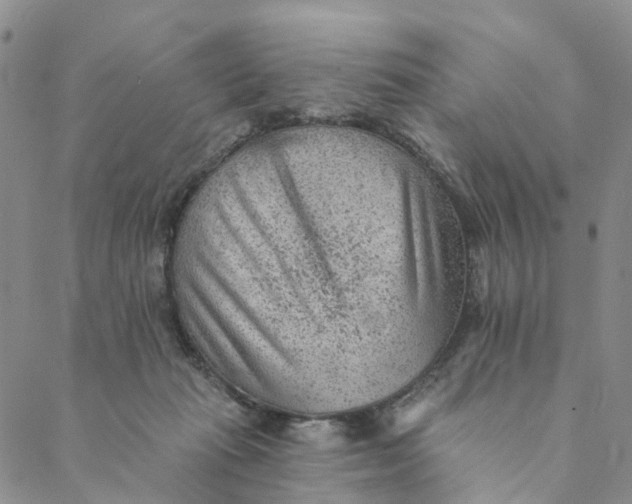 X0000088450269200706121447