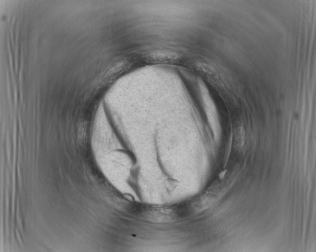 X0000088450278200706121447
