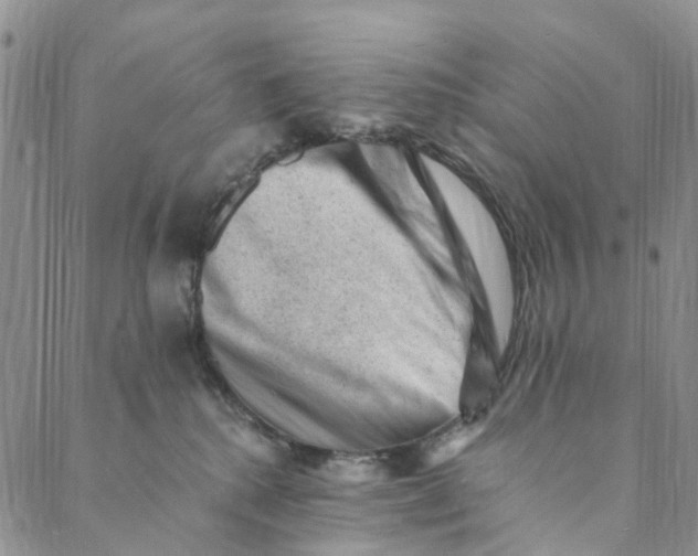 X0000088450280200706121447