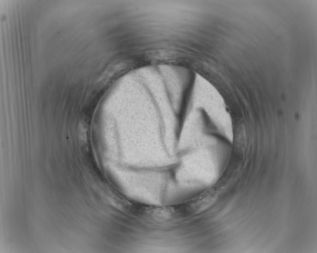 X0000088450282200706121447